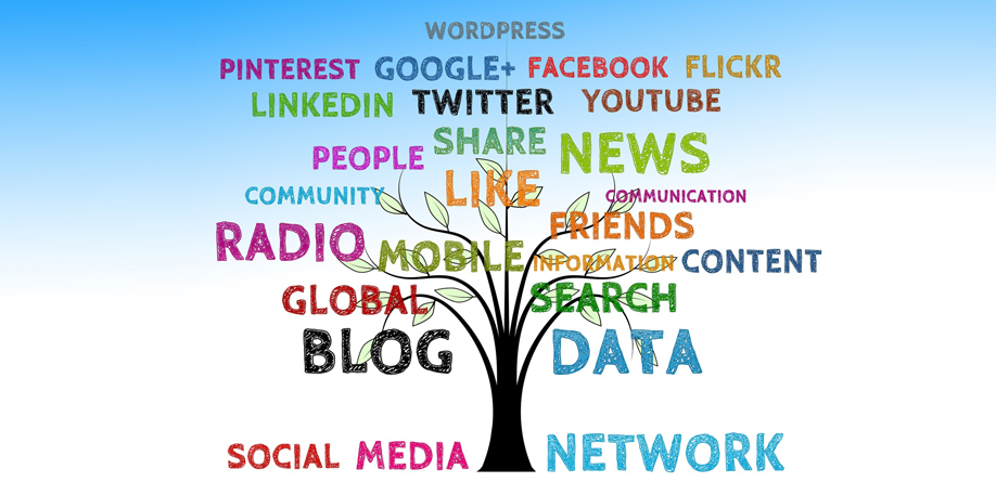 Content Marketing Agency